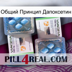 Общий Принцип Дапоксетин viagra5